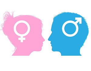 Estudo indica que cérebro feminino é mais jovem que o masculino (Google Imagens)