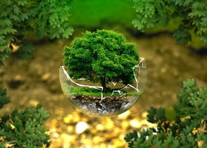 BioOne reúne conteúdo de Ciências Ambientais e áreas afins (Google Imagens)