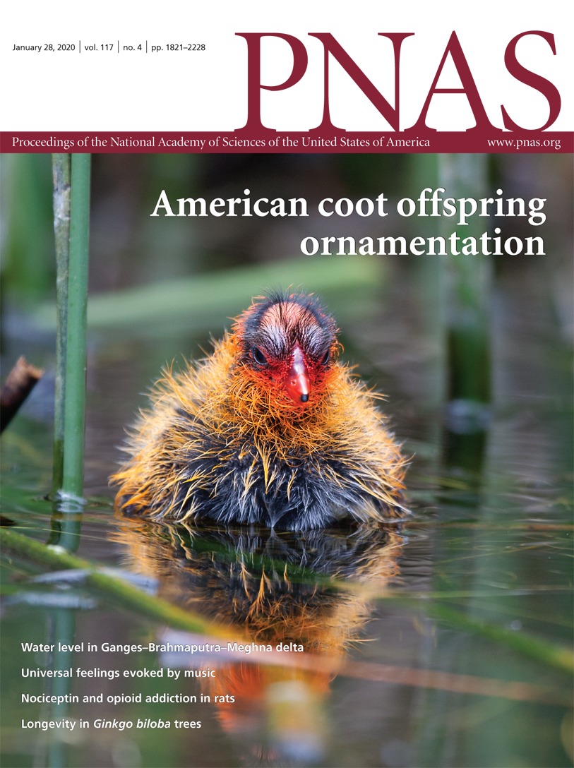 Capa da edição de 28 de janeiro de 2020 (Fonte: PNAS)