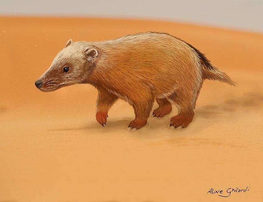 Ilustração do mamífero que viveu no período geológico conhecido como Cretáceo (Imagem: arquivo pessoal)