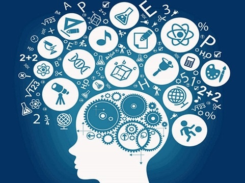 Sciberbrain é um dos novos conteúdos disponíveis para usuários do Portal de Periódicos (Google Imagens)