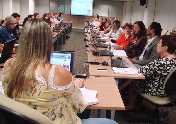 O evento contemplou tópicos como desenvolvimento de coleções, índices de reajuste dos contratos, estatísticas de acesso, comunicação e acesso remoto (Foto: CGPP/CAPES)