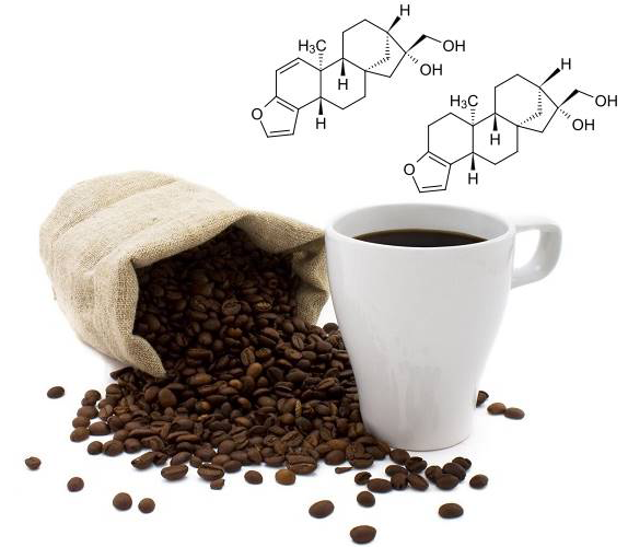 Compostos químicos são responsáveis por aroma e sabor do café (Imagem: Luiz Filipe Protasio Pereira)