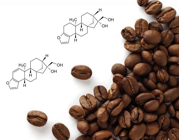 Compostos químicos são responsáveis por aroma e sabor do café (Imagem: Luiz Filipe Protasio Pereira)