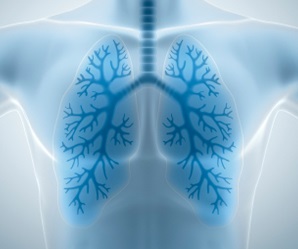 Periódico Chest aborda doenças do trato pulmonar e temas correlacionados (Imagem: Google Fotos)