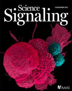 Science Signaling - edição 5 dezembro 2017, vol. 10, No. 508 (Imagem: Science)