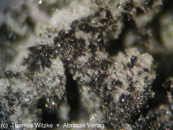 Black grains of srebrodolskite with white periclase (© Thomas Witzke / Abraxas-Verlag - Mineralogy Database)