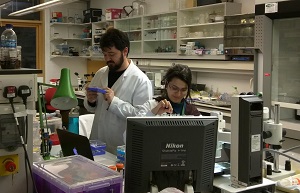 Thaís foi bolsista da CAPES durante o doutorado - período em que desenvolveu a tese premiada (Foto: acervo pessoal)